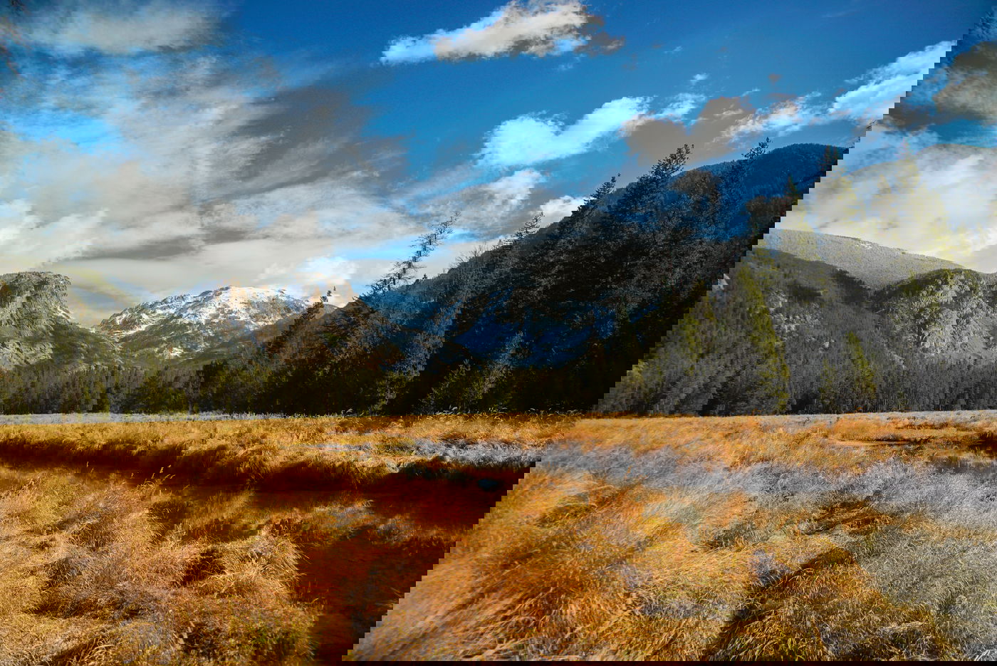 וויכוח מה יעשה בשטח החקלאי שקנו ביחד. אילוסטרציה