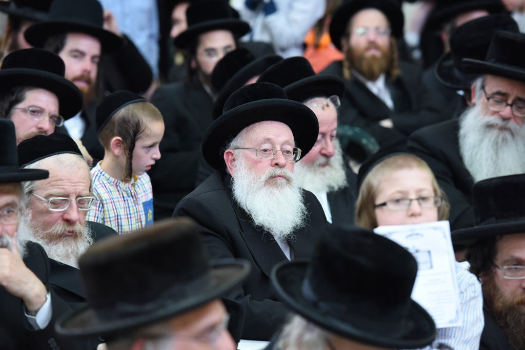 עם כתרים וגלימות: כך הילדים חגגו 'חומש סעודה' בויז'ניץ באלעד