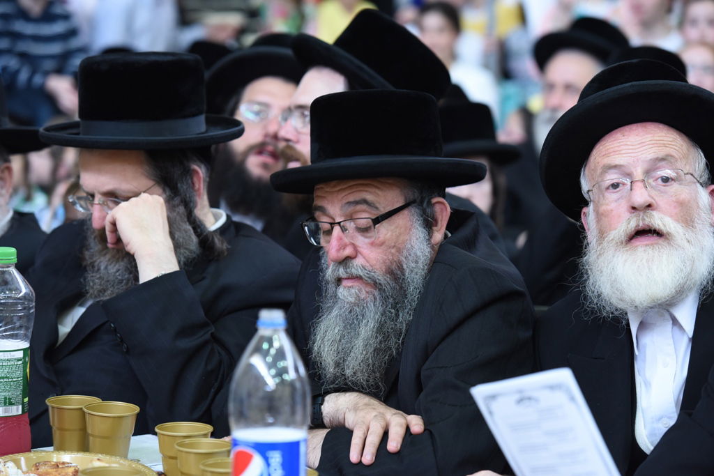 עם כתרים וגלימות: כך הילדים חגגו 'חומש סעודה' בויז'ניץ באלעד