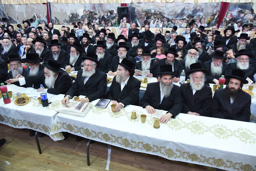 עם כתרים וגלימות: כך הילדים חגגו 'חומש סעודה' בויז'ניץ באלעד