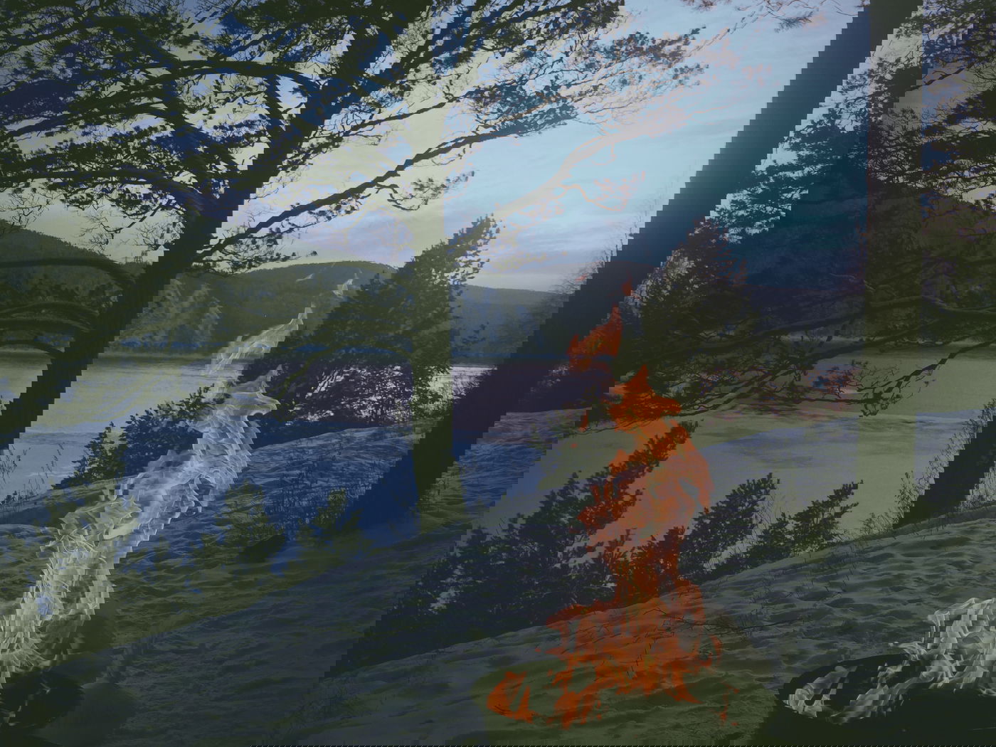 "טובתו של הקטין היא עמוד האש" אילוסטרציה