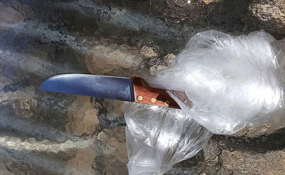 הסכין שנתפסה