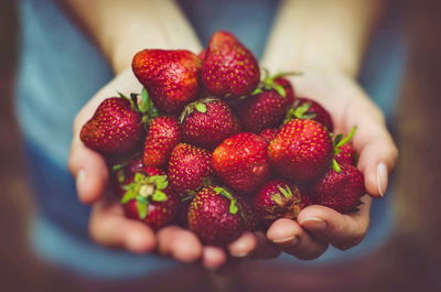 קטיף חווייתי?צ זה לא כזה פשוט