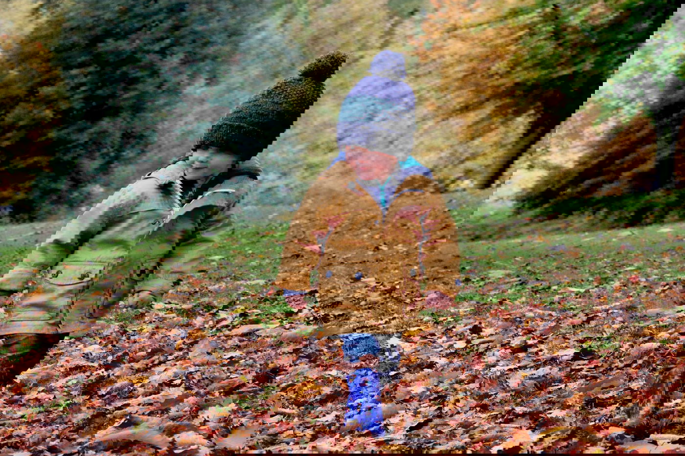 הסכסוך השפיע על הילדים שהוצאו מביתם. אילוסטרציה