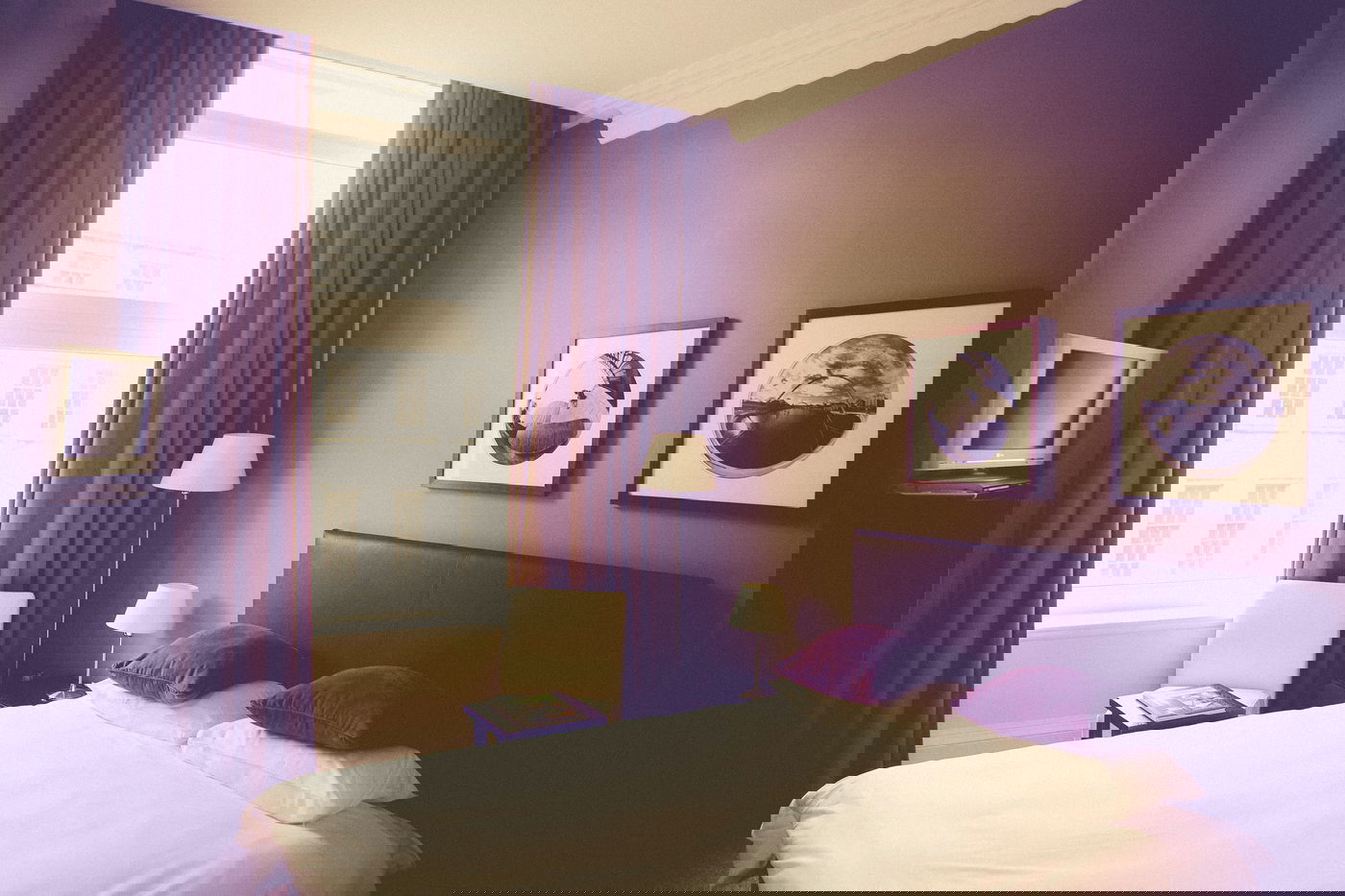 נשלחה חולה לעבוד כחדרנית. אילוסטרציה