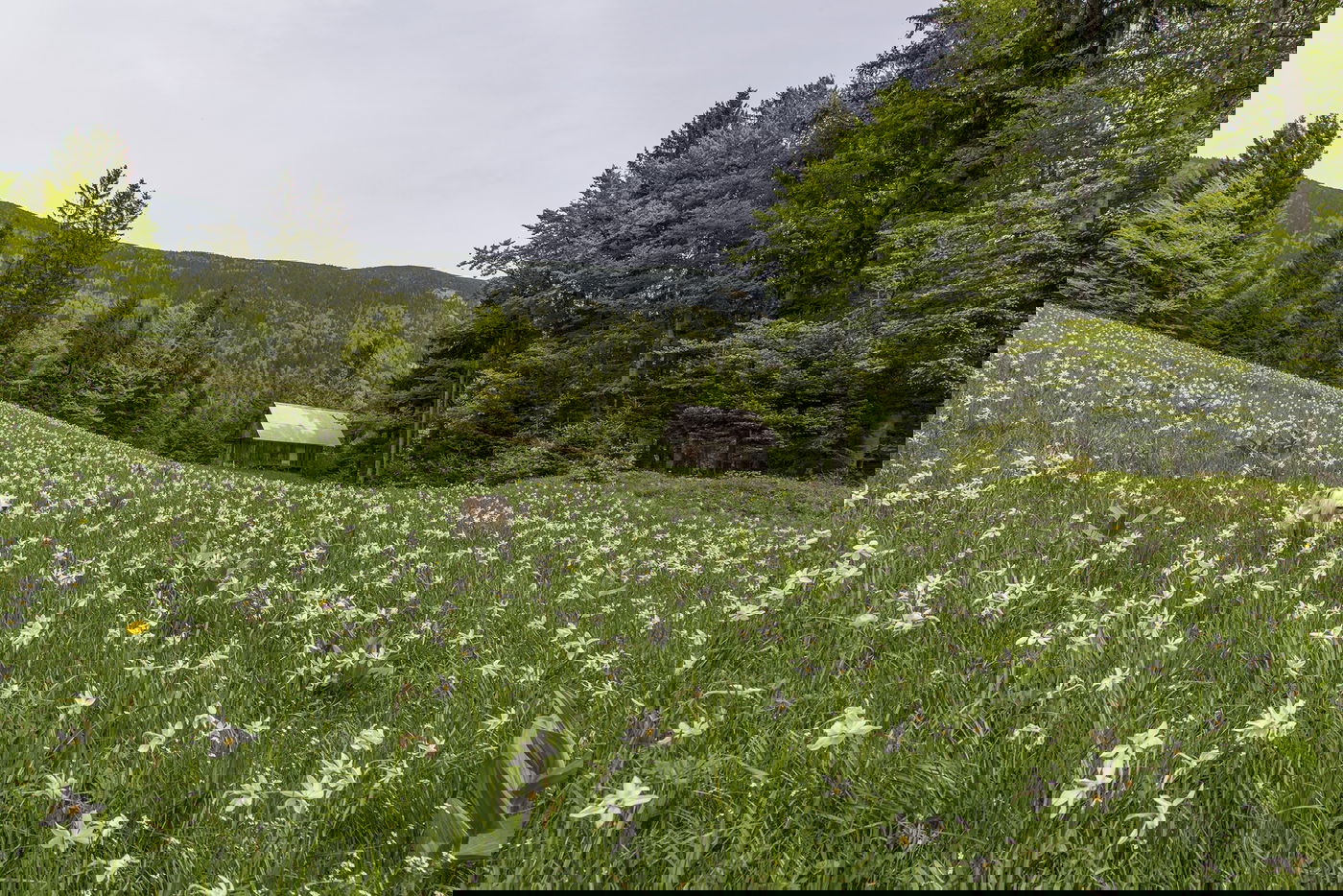 שני מגרשים בחדרה בצל המחלוקת. אילוסטרציה