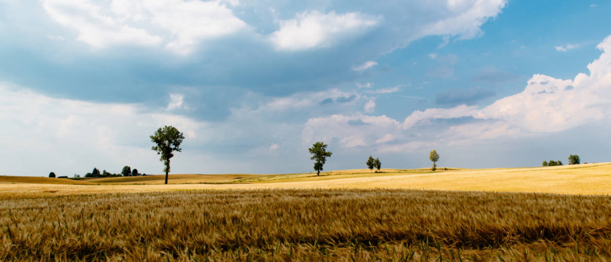 הסכסוך על השטח נגרר למחלוקת בין בתי המשפט. אילוסטרציה