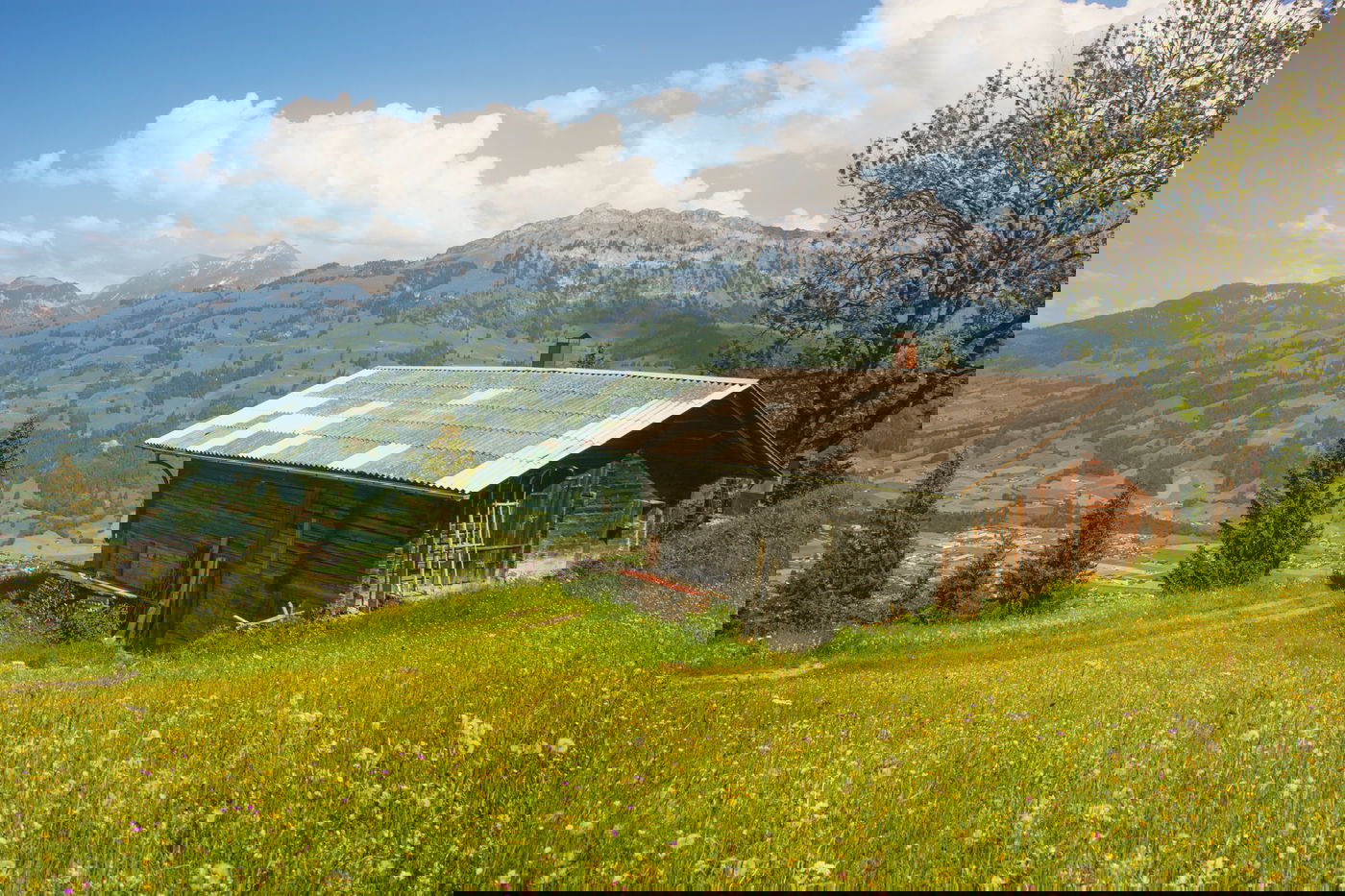 מחלוקת על הדירה שרכשה האישה. אילוסטרציה