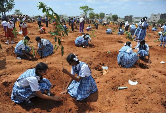 הודו: 50 מיליון עצים נשתלו תוך 24 שעות