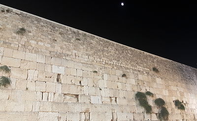 שריד בית מקדשנו