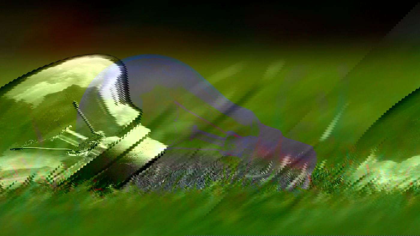 רכש בחנות חומרי חשמל ולא חזר עם הכסף. אילוסטרציה