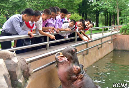 גן החיות הגרנדיוזי של צפון קוריאה. צפו