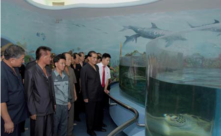 גן החיות הגרנדיוזי של צפון קוריאה. צפו