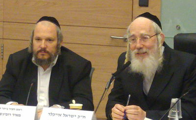 אייכלר ורובינשטין בדיון