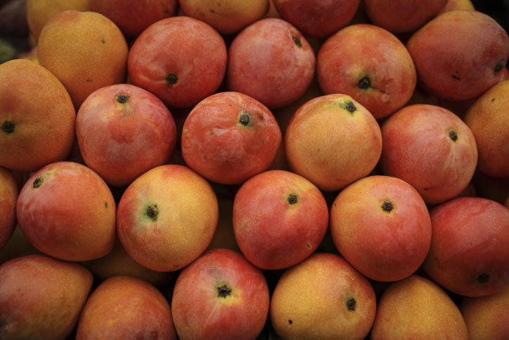 צילום הדס פרוש, פלאש90