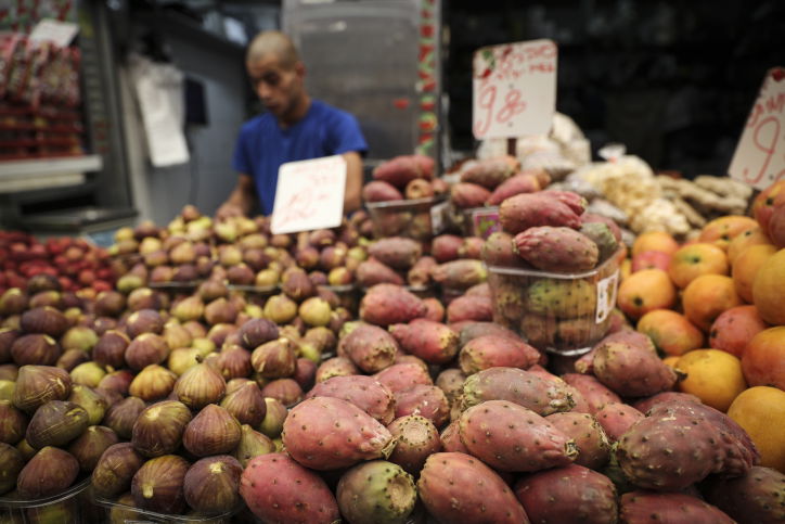 צילום הדס פרוש, פלאש90