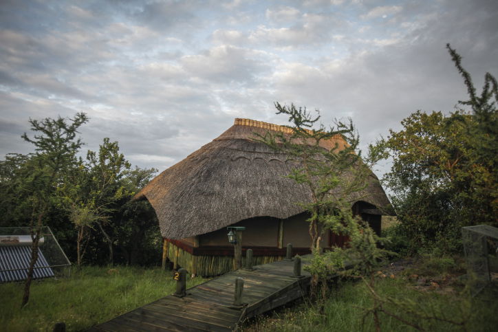 צפו בתיעוד המרתק מהספארי של טנזניה