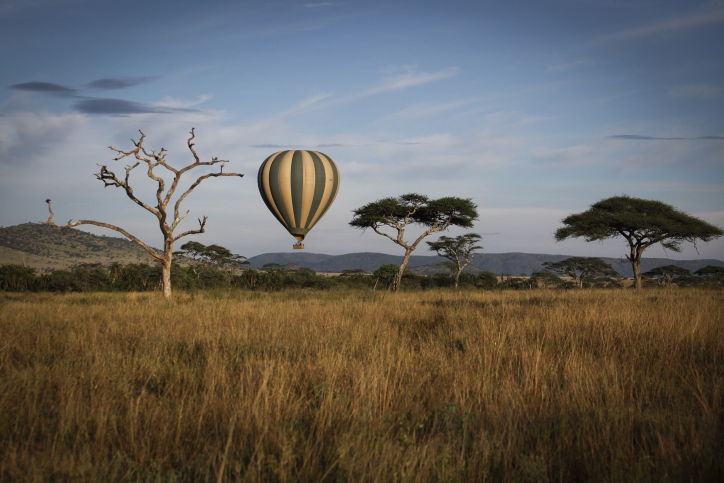 צפו בתיעוד המרתק מהספארי של טנזניה