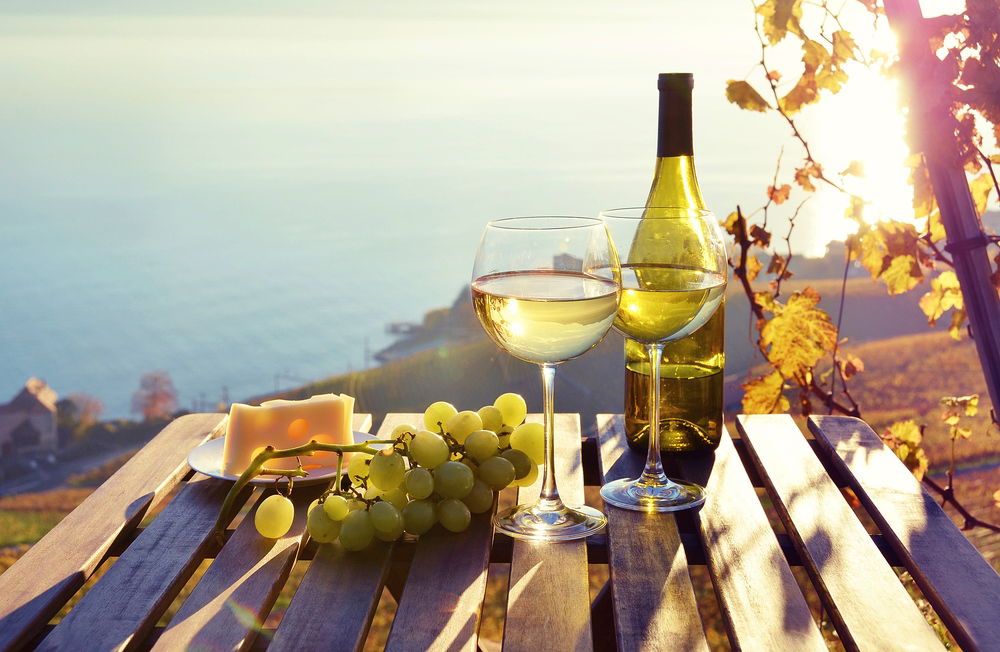 מסע מופלא בין כרמים ויין איכותי