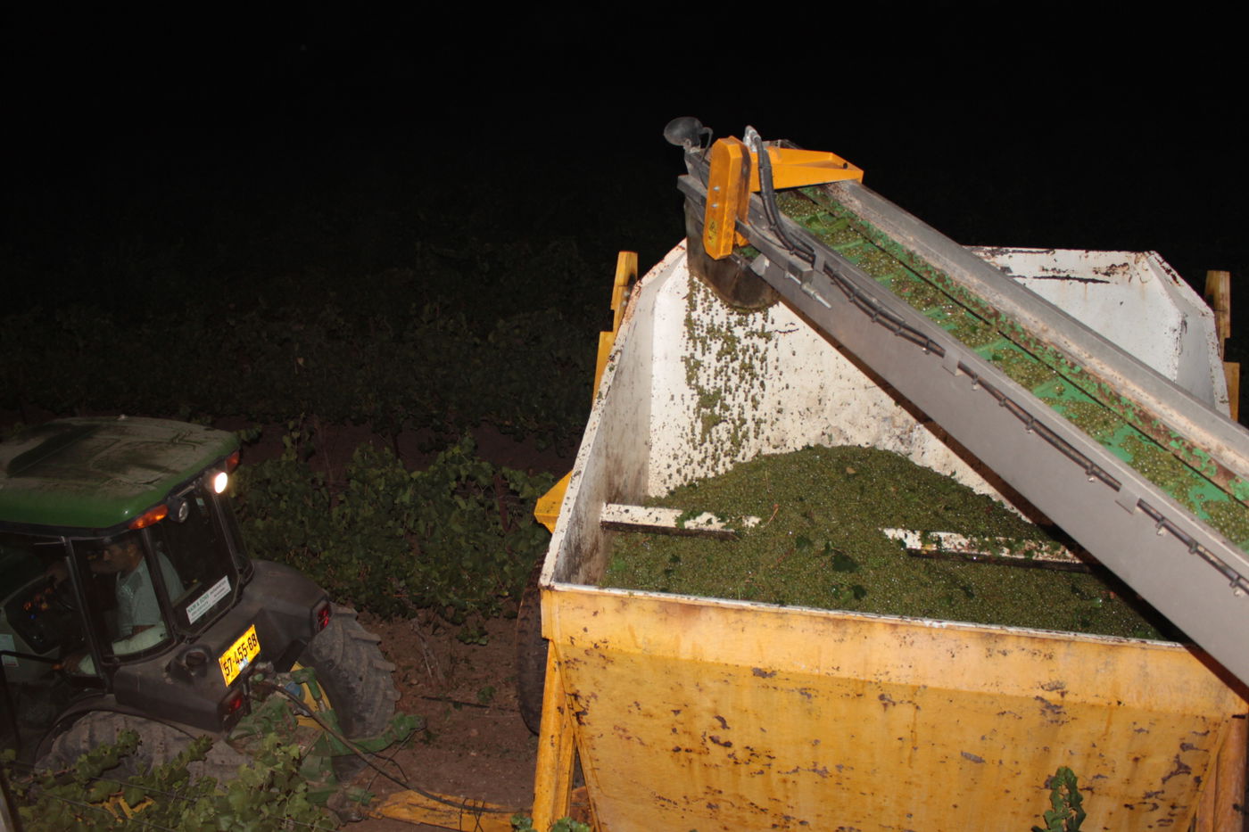 השיטה המכנית לבצירת ענבים.