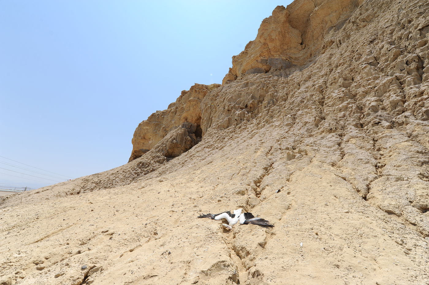 מתייבש והולך: תיעוד עצוב מים המלח