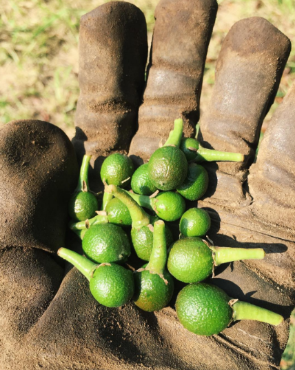 @hay_doe / Via instagram.com