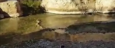 לא נעים לצפייה