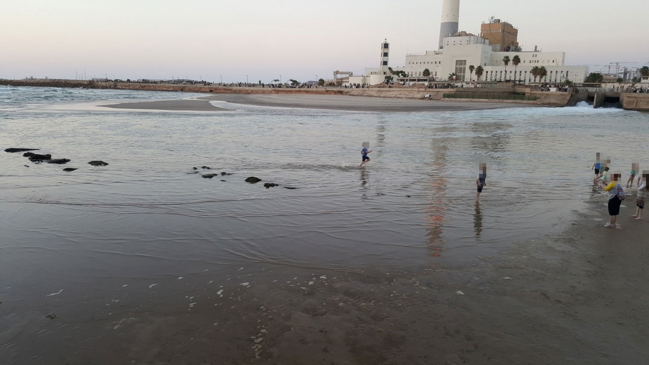 מתעלמים מהסכנה: רוחצים בים למרות שלטי האזהרה