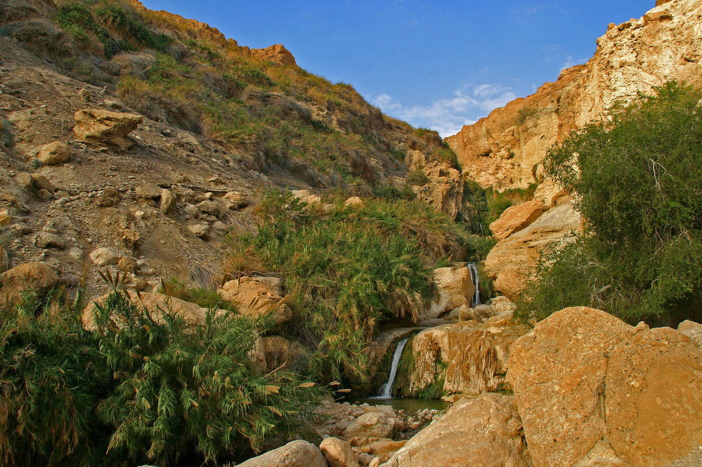 מעיינות ומפלים למרגלות צוקים. עין גדי