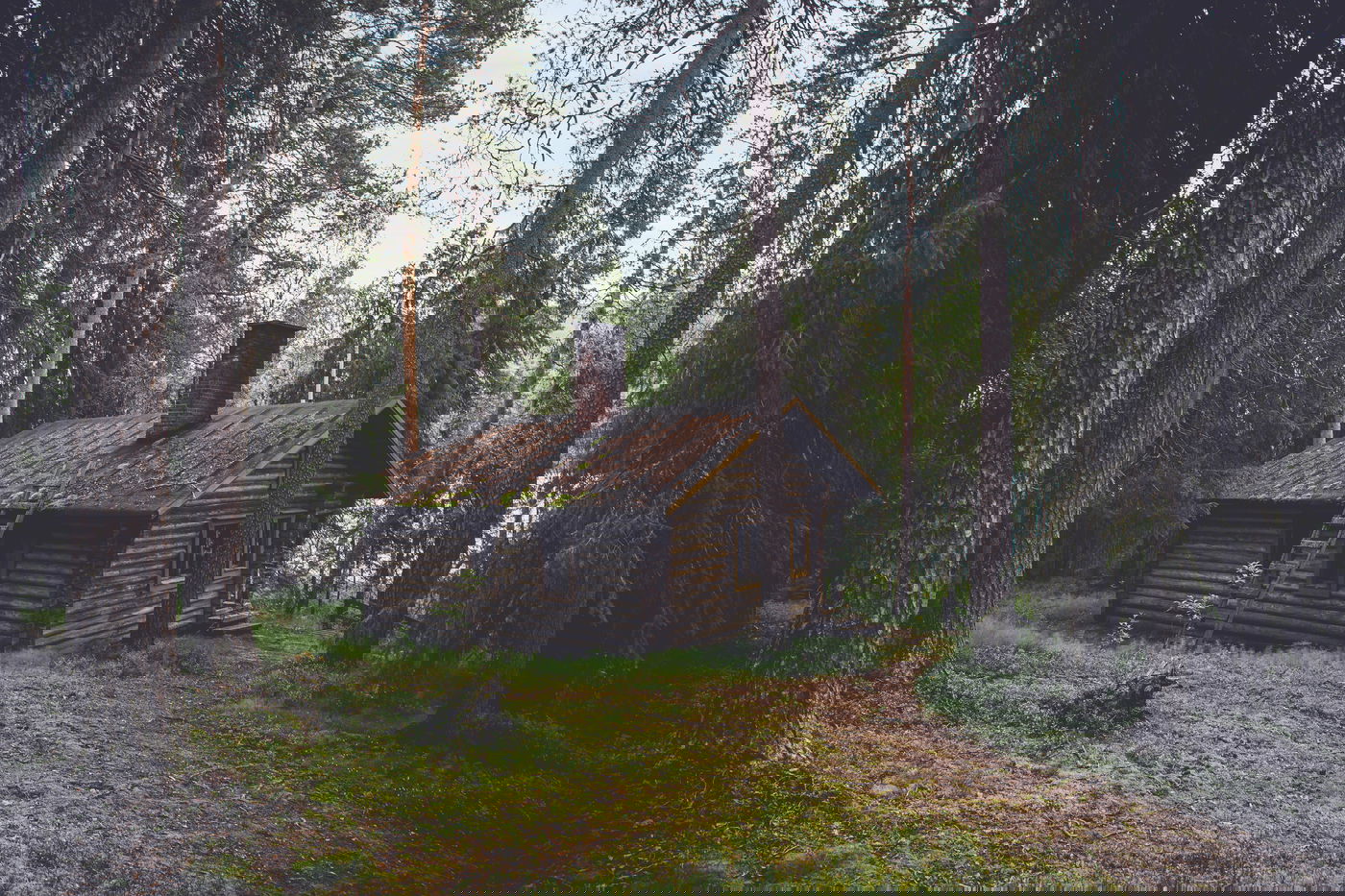 ירושת הבית לשכן לצורך הנצחת המנוח - בוטלה. אילוסטרציה