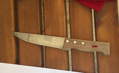 הסכין שנתפסה