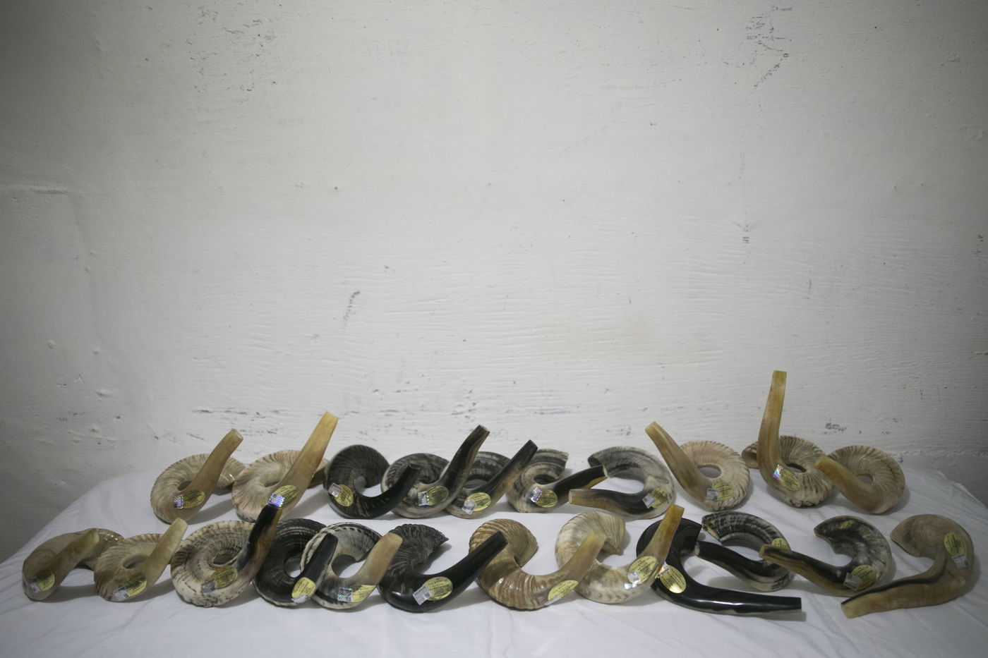 שלב אחר שלב בתמונות: כך מייצרים שופרות