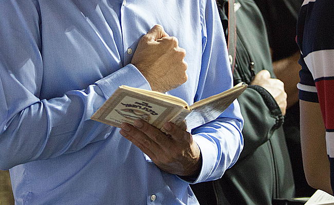 אילוסטרציה