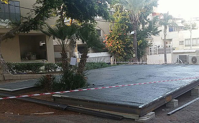 חלק מעצי הדקל ברחוב