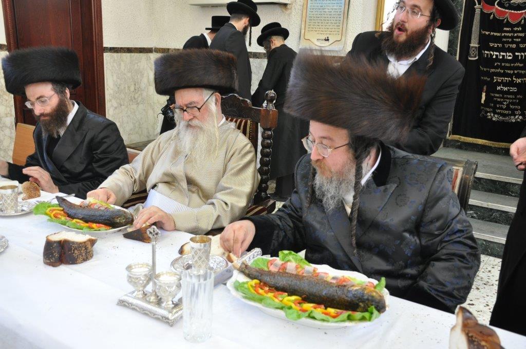 תיעוד: שמחת הברית לנין האדמו"ר ממשכנות הרועים