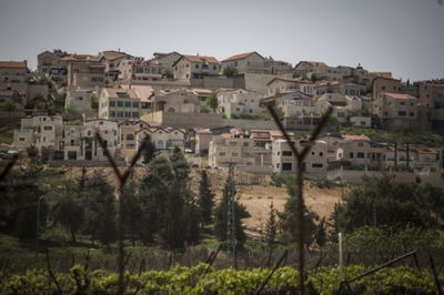 שכונת הר שמואל