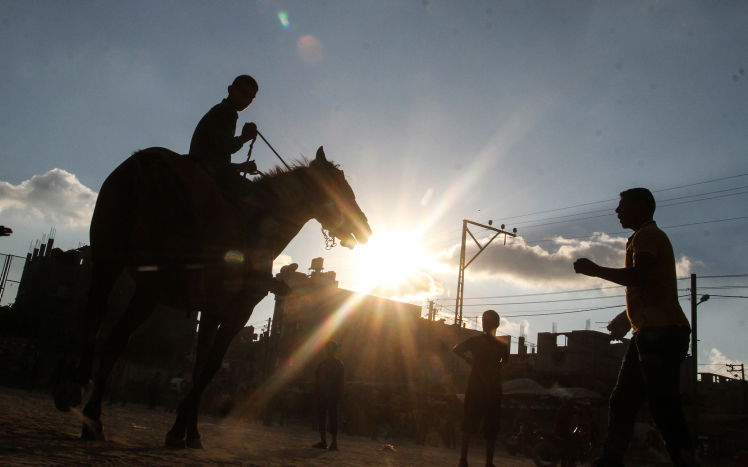 ה"לונה פארק" של ילדי רפיח בעזה | גלריה