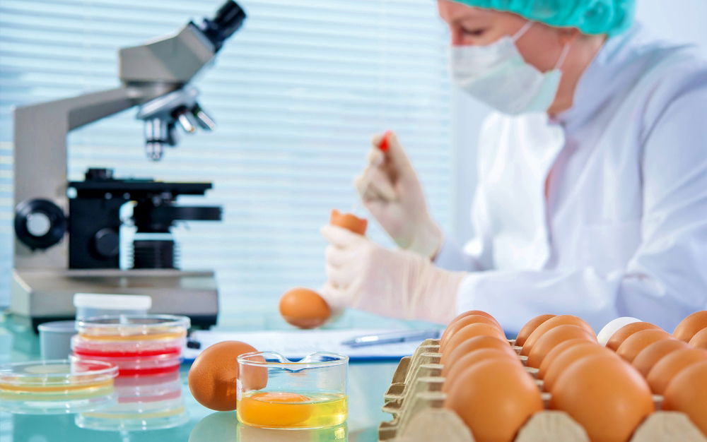 בדיקת סלמונלה