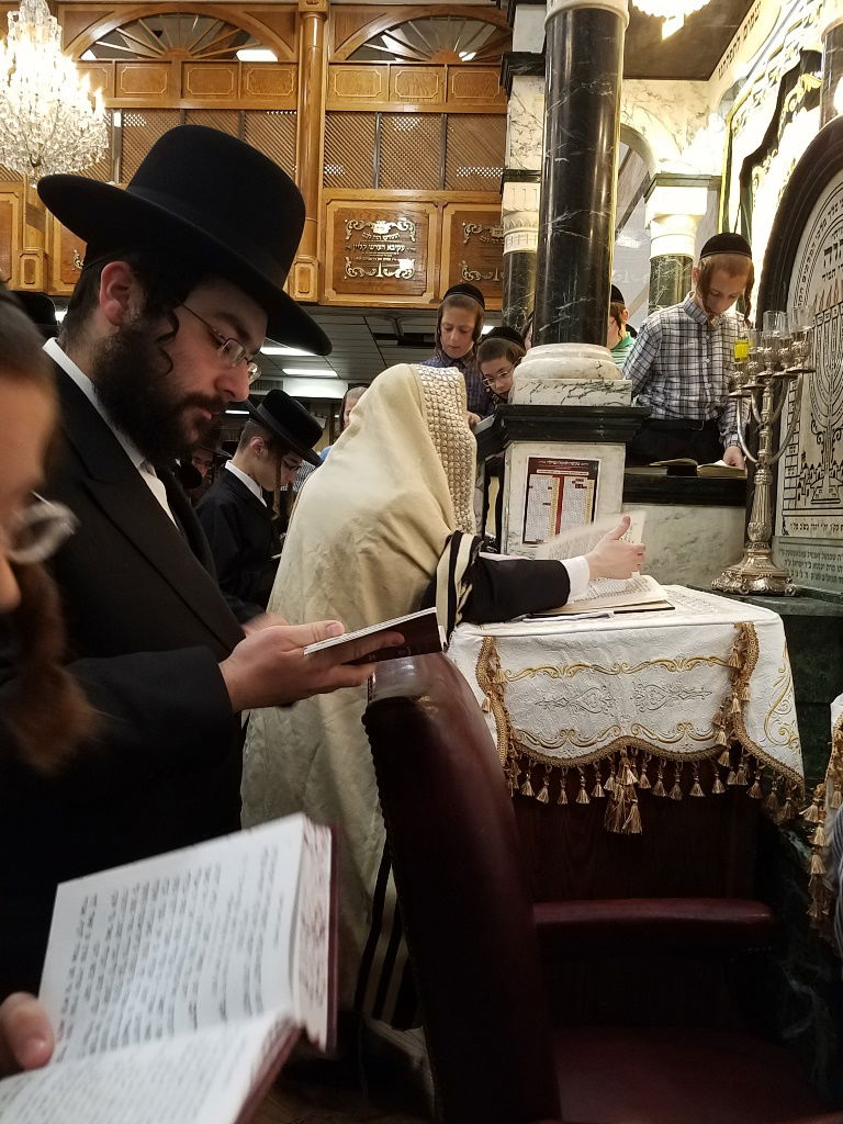 לפנות בוקר: אלפי חסידי סאטמר התכנסו לאמירת סליחות | תיעוד