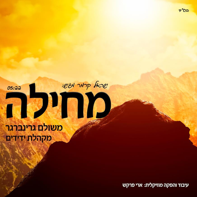 משולם גרינברגר ו'ידידים' מבקשים מחילה