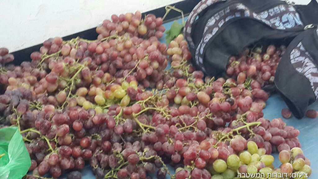 הענבים שנתפסו