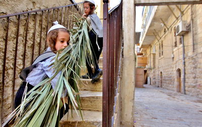 איך לטפל נכון בסכך ירוק או יבש