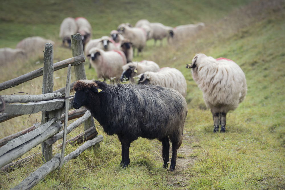 ג' בחינות יום הדין / הרב אברהם בליקשטיין