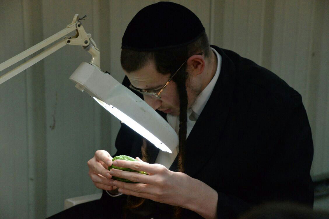 תיעוד: בבני ברק נערכים ליום הכיפורים, בכפר חב"ד לסוכות