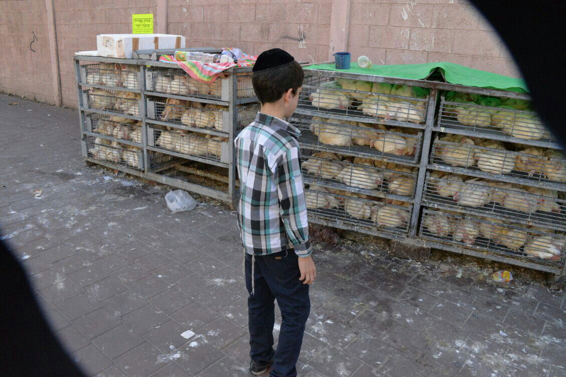 תיעוד: בבני ברק נערכים ליום הכיפורים, בכפר חב"ד לסוכות