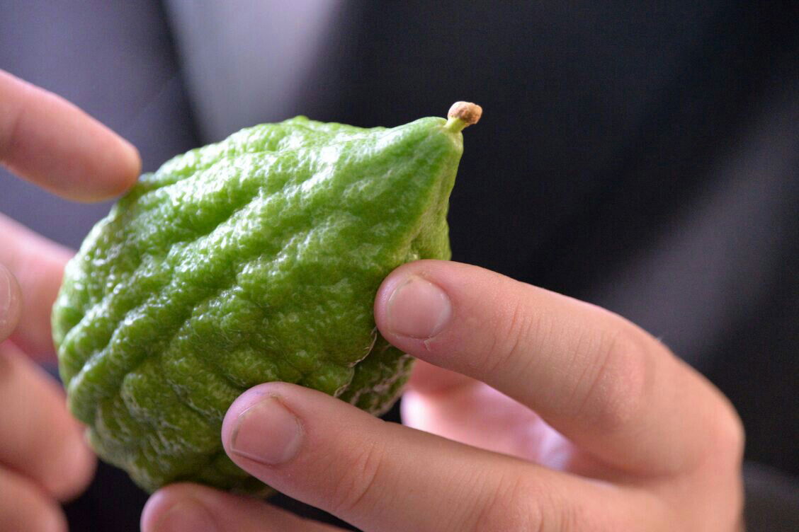 תיעוד: בבני ברק נערכים ליום הכיפורים, בכפר חב"ד לסוכות