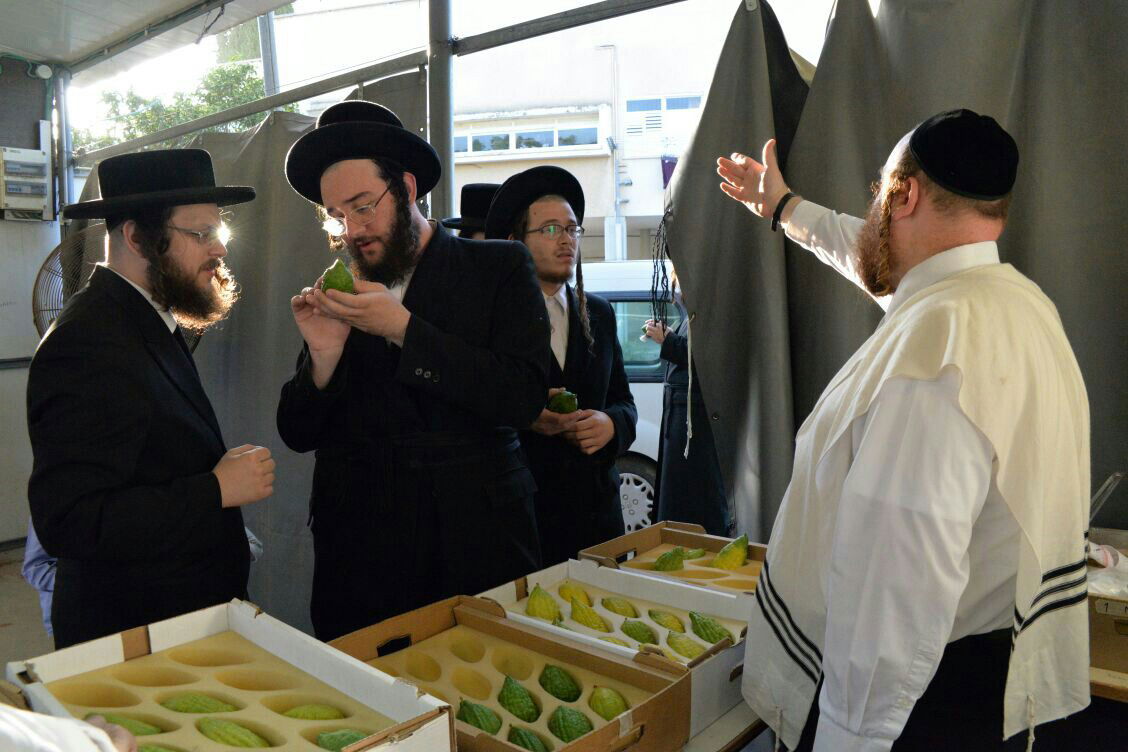 תיעוד: בבני ברק נערכים ליום הכיפורים, בכפר חב"ד לסוכות