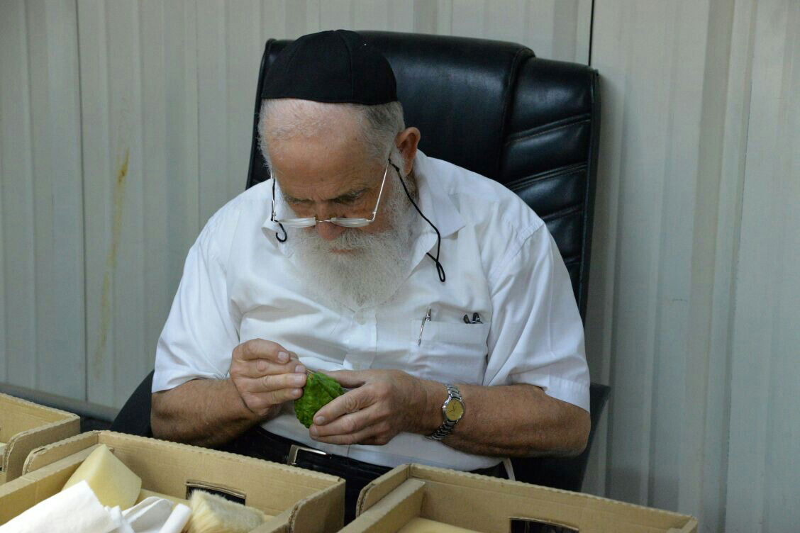 תיעוד: בבני ברק נערכים ליום הכיפורים, בכפר חב"ד לסוכות