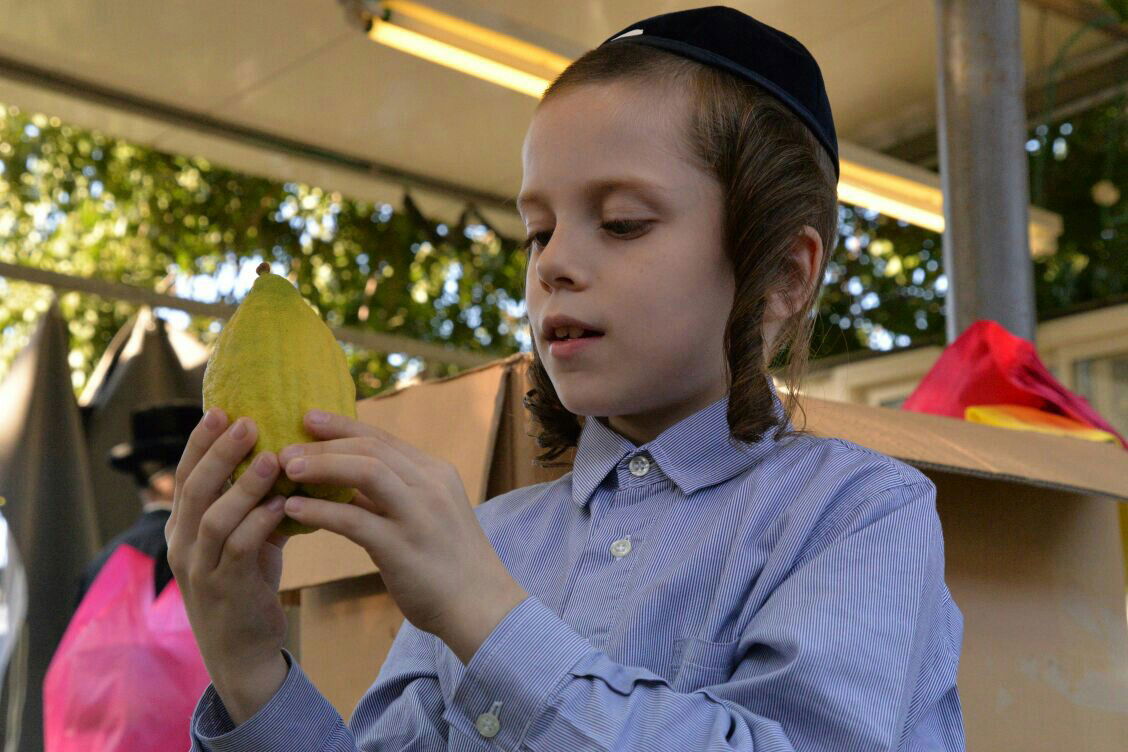 תיעוד: בבני ברק נערכים ליום הכיפורים, בכפר חב"ד לסוכות