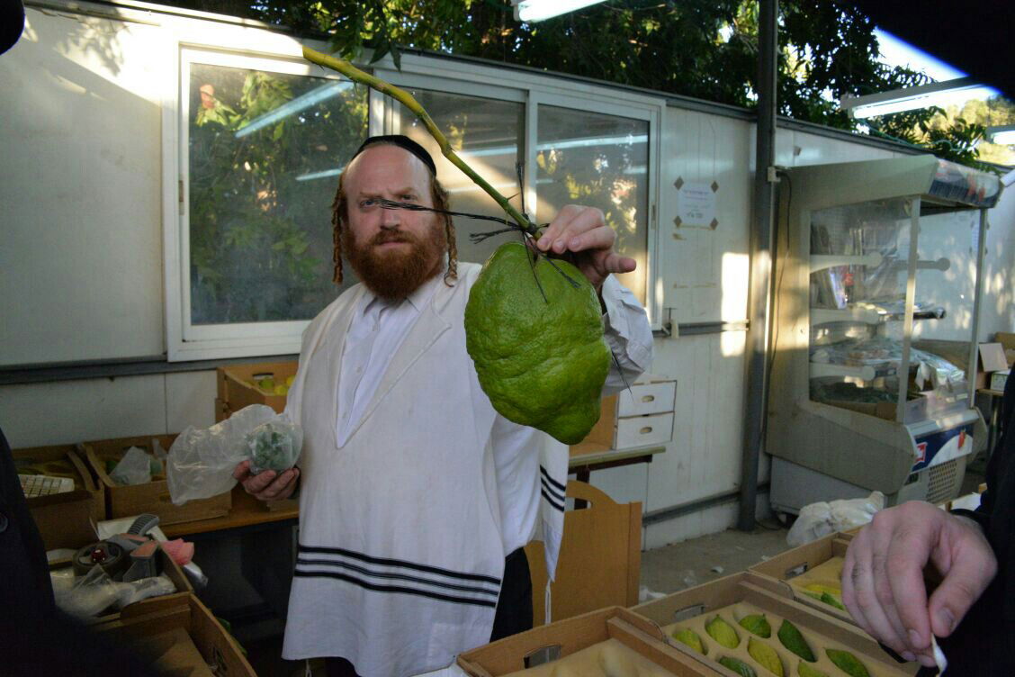 תיעוד: בבני ברק נערכים ליום הכיפורים, בכפר חב"ד לסוכות